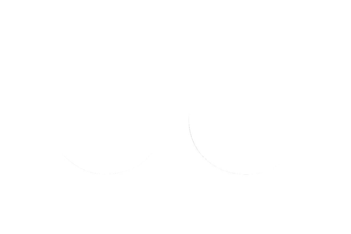 FORK SEAL SW 38X48X10