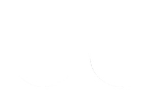 FORK SEAL SW 38X48X10