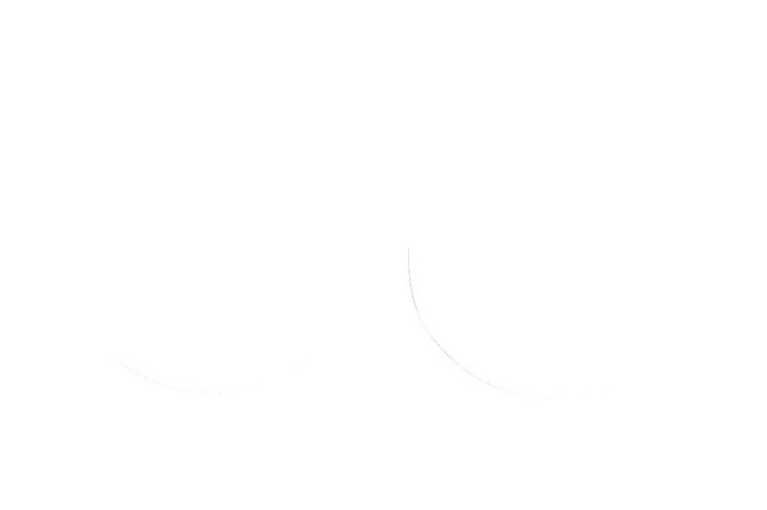 FORK SEAL RSD2 31.7X42X7/9