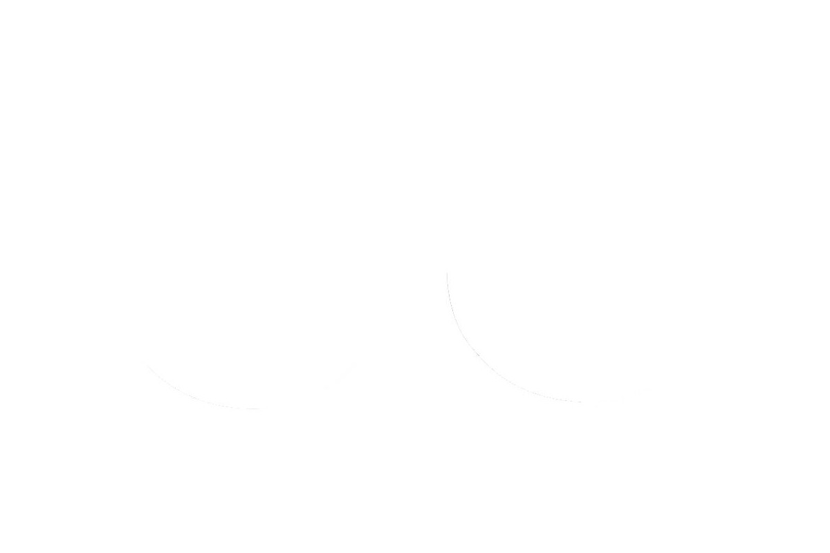 FORK SEAL RSD2 36X46X7/9