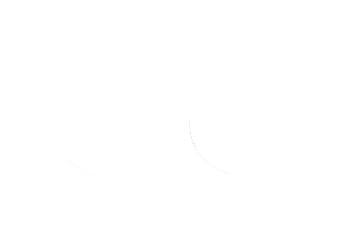 FORK SEAL RSD2 30X40X7/9