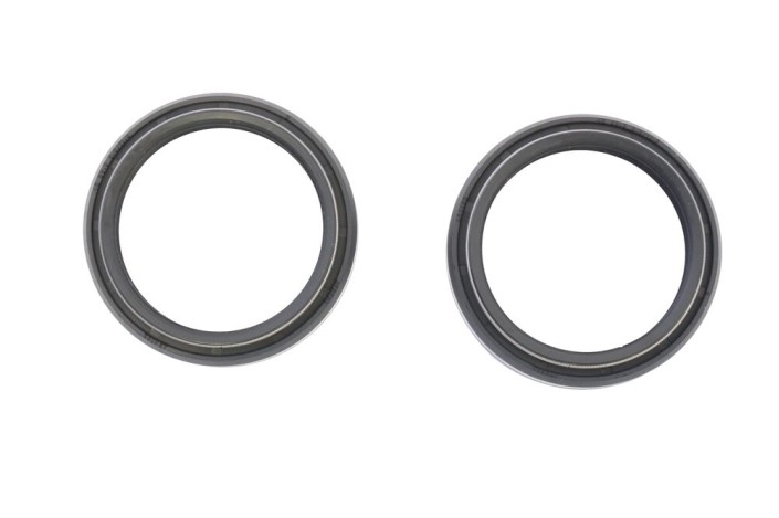 FORK SEAL42x53 8x9 6/11 6