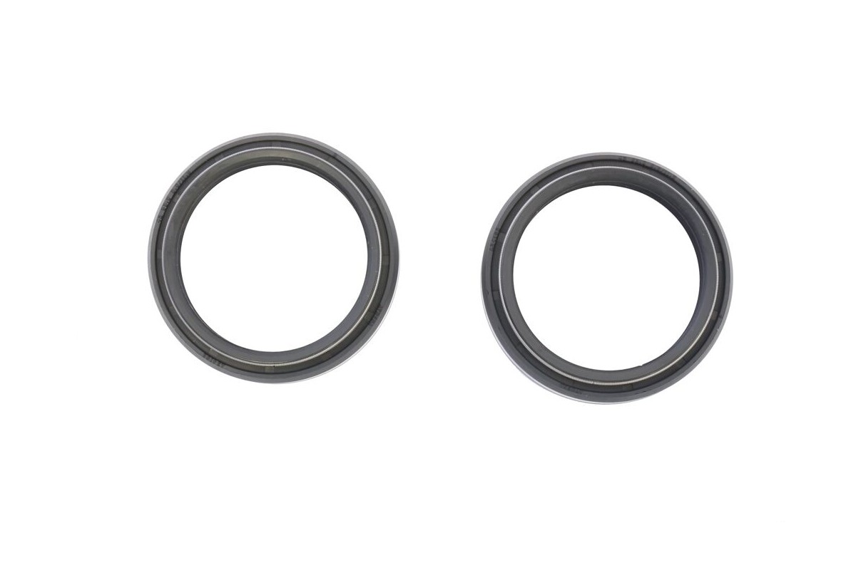 FORK SEAL42x53 8x9 6/11 6