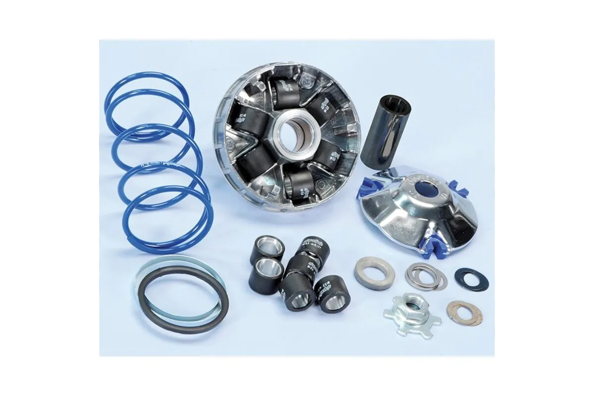 Variator Polini Evolution 2 Minarelli D.16 (old PLN241708)