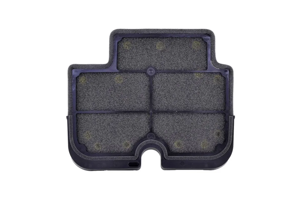 Filtre à air TECNIUM - 110290011