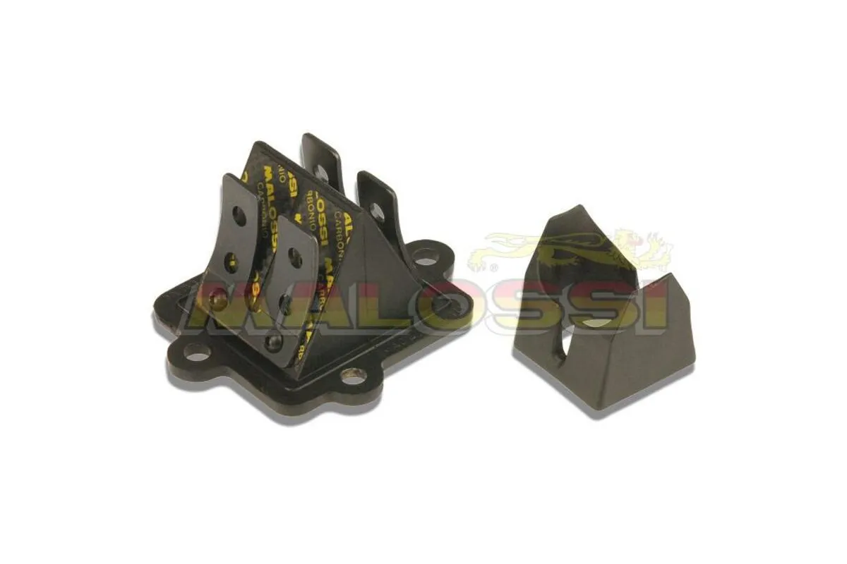 Boite à clapets MALOSSI VL12