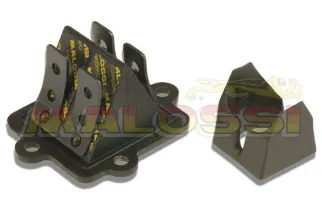 Boite à clapets MALOSSI VL12