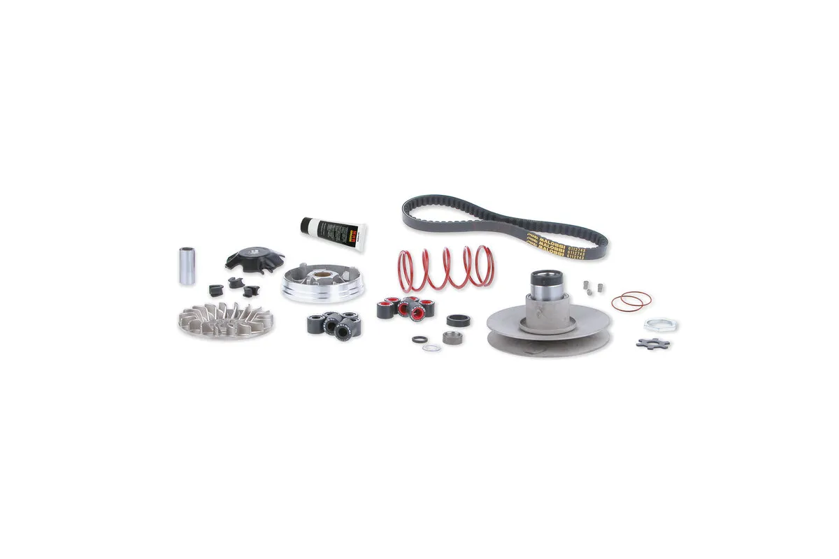 Variateur MALOSSI Over Range - Yamaha-MINARELLI