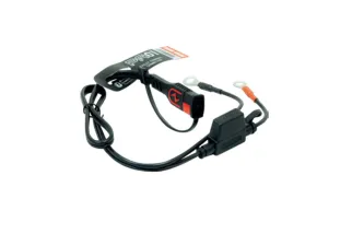 Connecteurs à œillet BS BATTERY PA-01 - boîte de 20