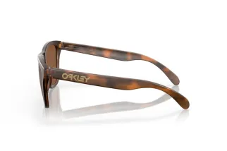 Lunettes de soleil OAKLEY Frogskins Verres Prizm Tungsten - Monture Matte Tortoise