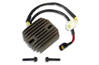 Régulateur ELECTROSPORT - Suzuki