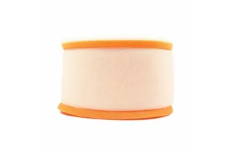 Filtre à air TWIN AIR - 152122