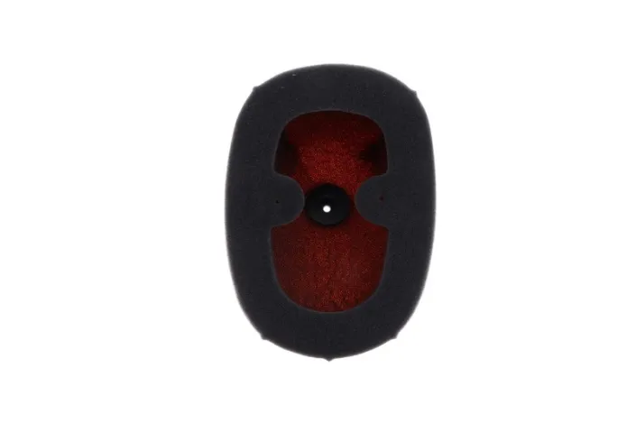 Filtre à air TWIN AIR kit Powerflow 10000050 - 150229FR Honda CRF250R