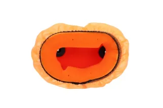 Sur-filtre TWIN AIR Grand Prix - 160000GPBKR2