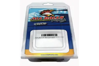 Kit réparation de maître cylindre arrière ALL BALLS ATV Can Am