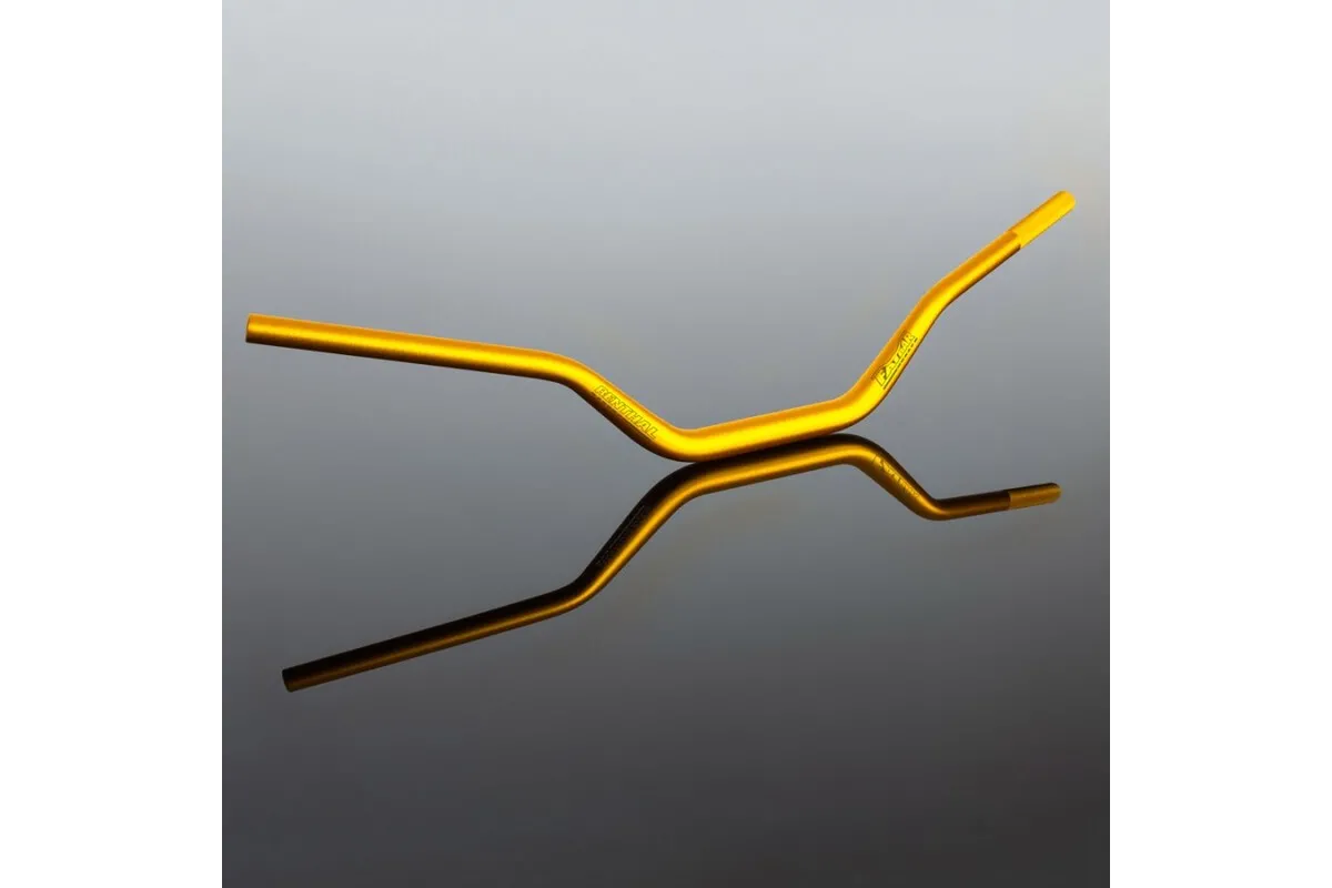 Guidon RENTHAL Street Fatbar 848