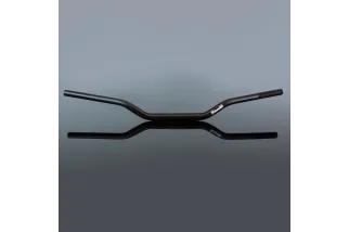 Guidon RENTHAL Fatbar 831 - Street