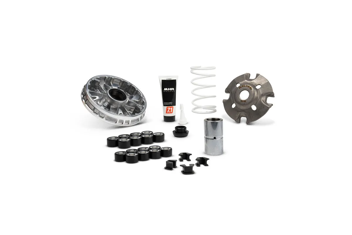 Variateur MALOSSI Multivar 2000