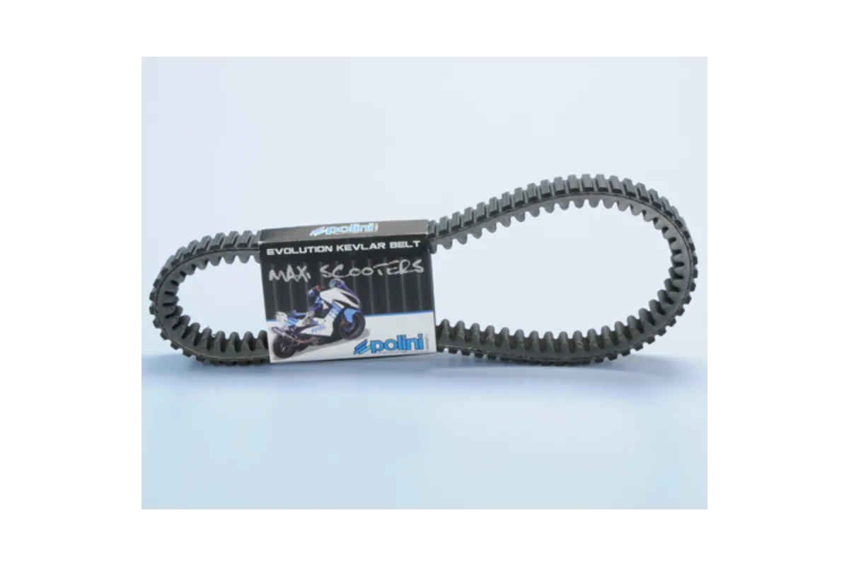 Courroie de transmission POLINI Kevlar renforcée