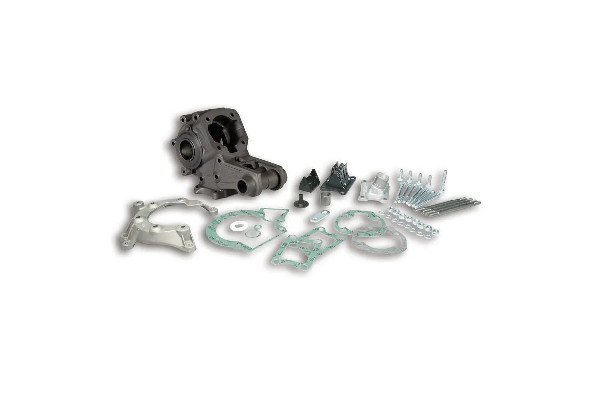 Kit carter moteur MALOSSI