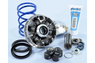 Variateur POLINI Hi-Speed EVO2 Ø16/12.5°