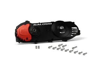 Couvercle de filtre à air MALOSSI vis incluses