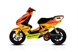 Couvercle de filtre à air MALOSSI vis incluses