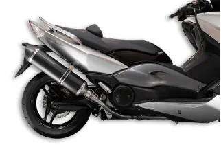 Pot d'échappement MALOSSI Wild Lion