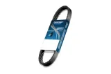 Courroie de transmission DAYCO CVT™