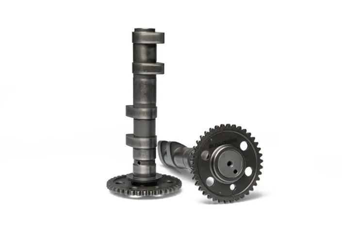 Arbre à cames MALOSSI Power Cam