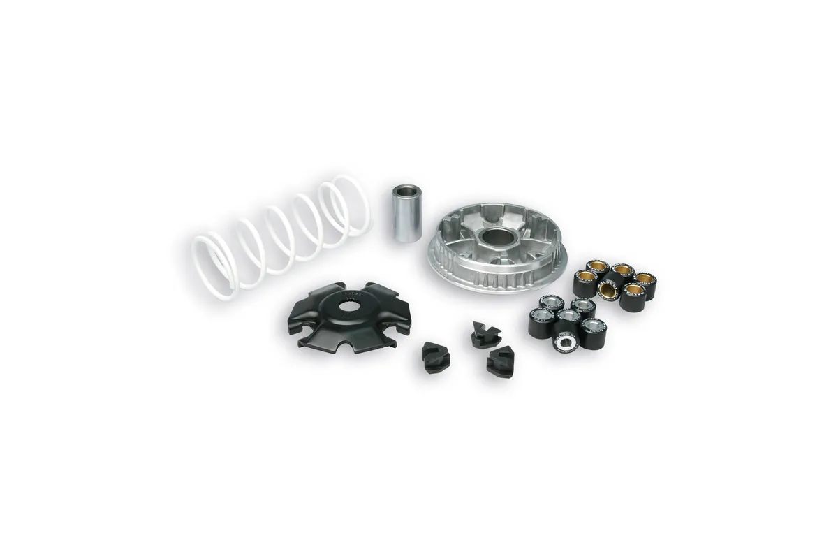 Variateur MALOSSI Multivar 2000