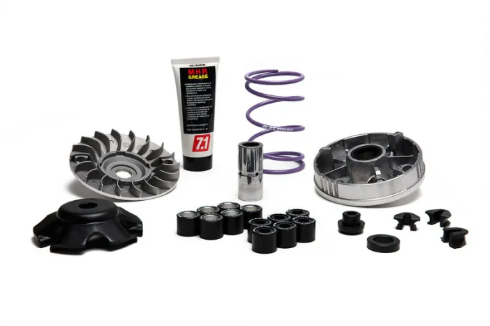 Variateur MALOSSI Multivar MHR Team 2