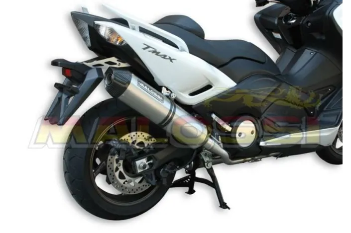 Pot d'échappement MALOSSI Wild Lion - Inox Carbon