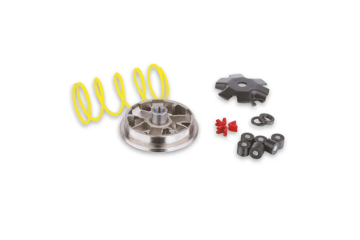 Variateur MALOSSI Multivar