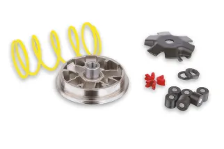 Variateur MALOSSI Multivar