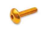 V PARTS screw allen M6x20 Gold