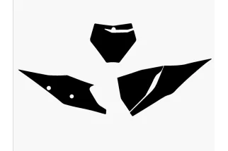 Fonds de plaque BLACKBIRD