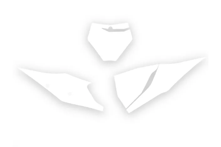 Fonds de plaque BLACKBIRD