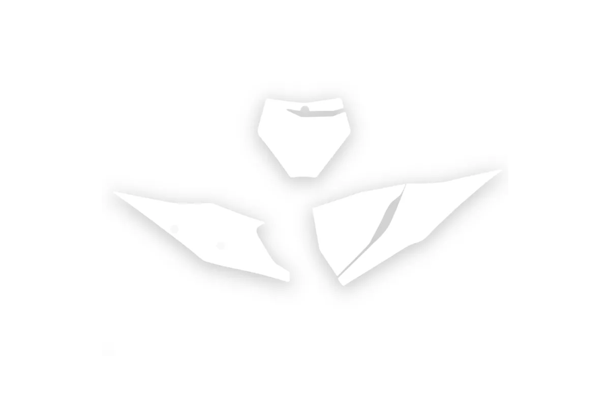 Fonds de plaque BLACKBIRD