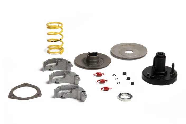 Embrayage centrifuge MALOSSI Fly System