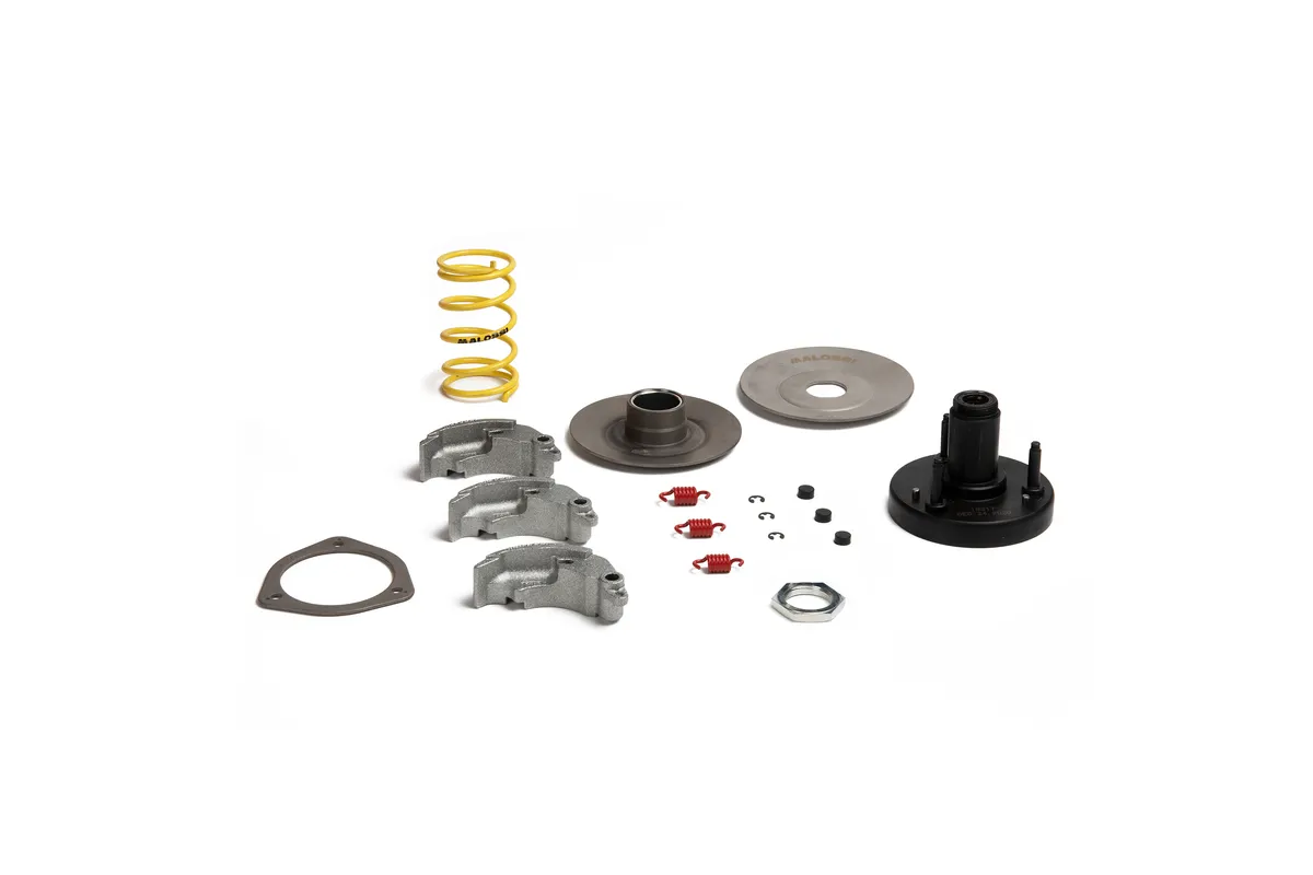 Embrayage centrifuge MALOSSI Fly System