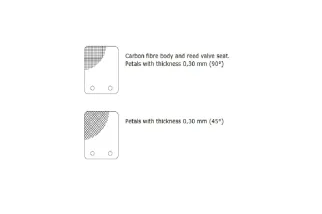 Clapet MALOSSI VL14 pétale carbone 0,30mm 45°