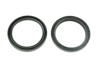 FORK SEAL RSD 48X57.8X9