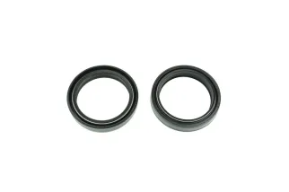 FORK SEAL 43X55X9.5/10/5