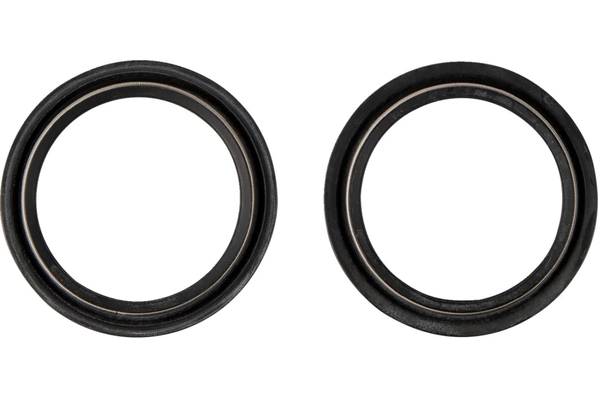 DUST SEAL 48.X58.50 WP