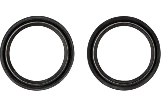 DUST SEAL 48.X58.50 WP