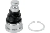 BALL JOINT LWR POL