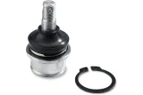 BALL JOINT LWR CANAM