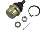 BALL JOINT UPPER CF MOTO