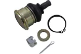 BALL JOINT LOWER CF MOTO
